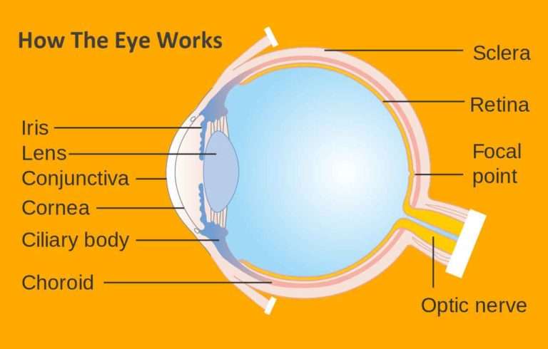 Diabetic Retinopathy - Symptoms, Prevention and Treatment in Delhi NCR